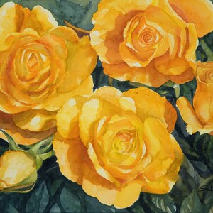 Rose gialle-dipinto a acquarello originale,pittura fiori primaverili,rose gialle nel fogliame verde,rose grandi fiorite,boccioli gialli