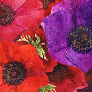 Anêmonas grandes - pintura em aquarela original, pintura de flores vermelhas e roxas, flores da primavera, grandes anêmonas coloridas, pequenas pinturas, cartão postal