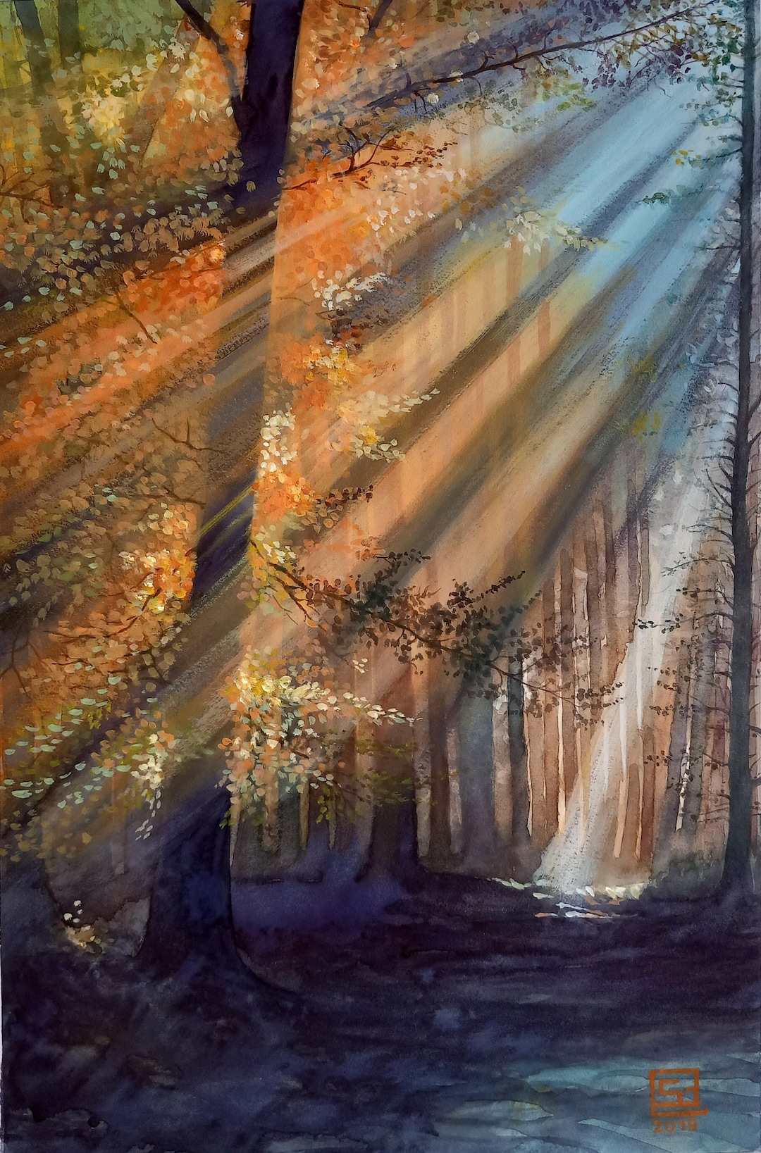 【真作】絵画　油彩SM　光あふれる初秋の林　木漏れ日の森　洋画　小品　X3 真作】絵画 油彩SM 光あふれる初秋の林 木漏れ日の森 洋画 小品 X3