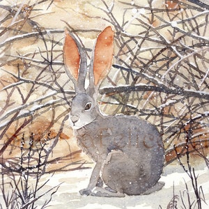 Lepre nella neve-dipinto a acquarello originale,pittura di lepre nella neve fresca,piccolo animale del bosco,lepre dalle grandi orecchie