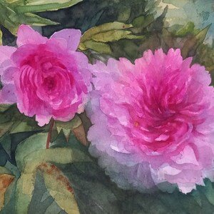 Peonie-acquarello originale,pittura peonie arbustive,fiori rosa primaverili,dipinto di fiori tra le foglie,idea regalo,dipinto di fiori rosa