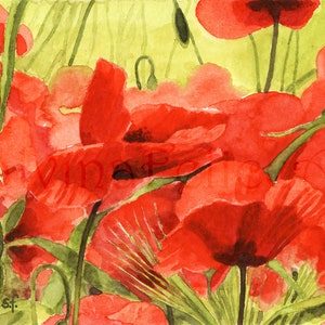 Papaveri al sole-dipinto a acquarelli originale,fiori rossi in mezzo all'erba,fiori estivi arancioni,pittura floreale di papaveri in gruppo