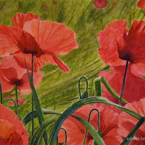 Papaveri rossi-dipinto a acquarello originale,papaveri rossi in mezzo all'erba,pittura floreale di papaveri in gruppo,fiori rossi estivi,