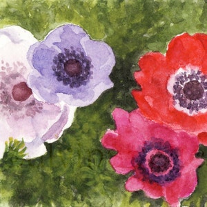 May include: A watercolour painting of three anemones. The anemones are in shades of purple, pink, and red. The flowers are surrounded by green foliage.