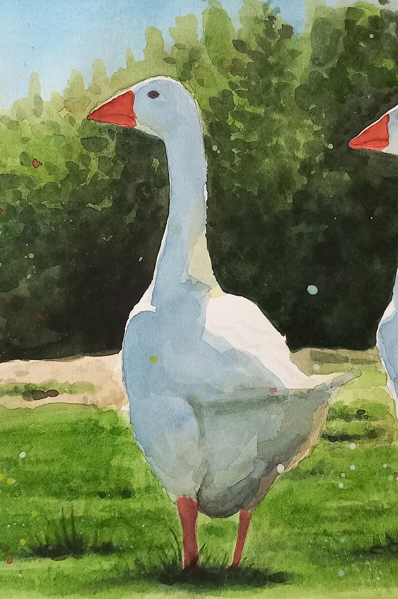 KRYMSON 2 Libri Da Colorare Ad Acqua Per Bambini - Animali E Oceano Con 2 Pennelli - Pittura Magica Educativa E Riutilizzabile