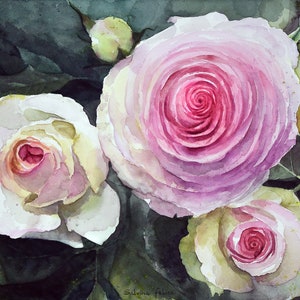 Rose bianche sfumate di rosa-acquarello originale,pittura di fiori primaverili,rose bianche nel fogliame verde,rose a colori sfumati,maggio