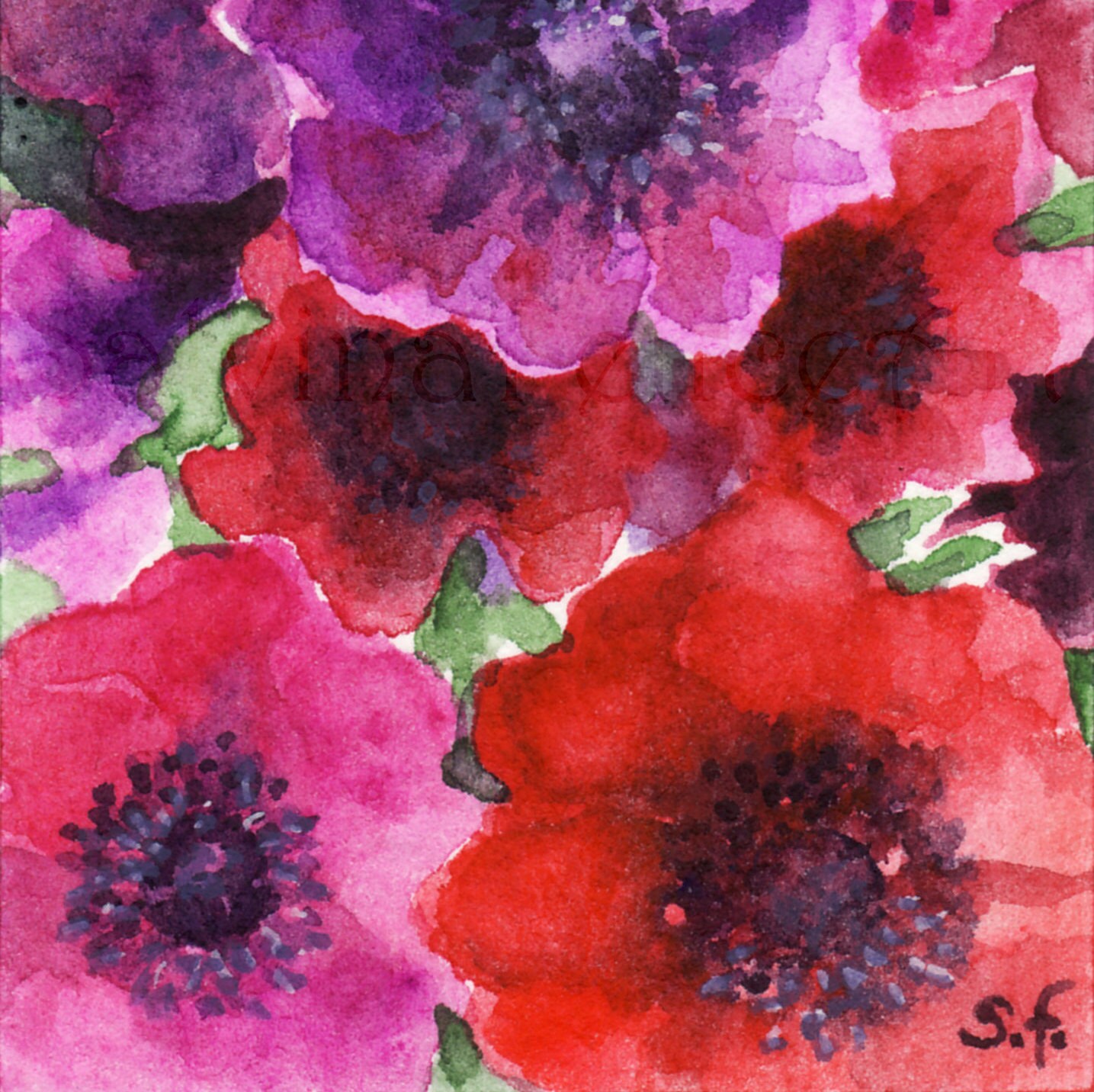 アネモネの束 - オリジナルの水彩画、赤と紫のアネモネの絵