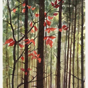 Nel bosco-dipinto a acquarelli originale,pittura di natura,dipinto di alberi del fitto bosco,la luce filtra tra gli alberi e foglie rosse,