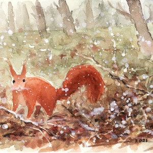 La prima neve-dipinto originale ad acquarello,pittura originale,dipinto di scoiattolo rosso,piccolo animale del bosco,nevicata,cartolina