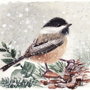 Cincia-acquarello originale,dipinto originale di cincia,chickadee,piccolo uccello selvatico,neve,pigna,pittura del bosco  in inverno,natura
