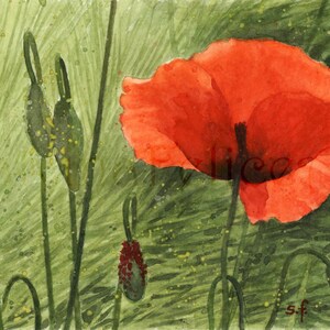 Coquelicot et bourgeons - aquarelle originale,grande fleur dans l’herbe verte,coquelicot avec bourgeons,peinture de fleurs rouges d’été,carte postale