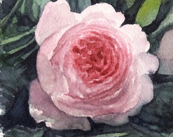 An original rose-painting in watercolor, pink flower painting, floral painting, flowering rose, miniature rose, gift for mom, postcard
