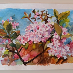 Viburno carlesii-dipinto a acquarelli originale,rami fioriti,fiori bianchi,fiori rosa a palla,pittura floreale,idea regalo,piccolo quadro
