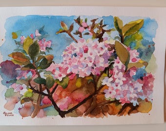 Viburnum carlesii - original watercolor painting, flowering branches, white flowers, pink ball flowers, floral painting, gift idea, small painting