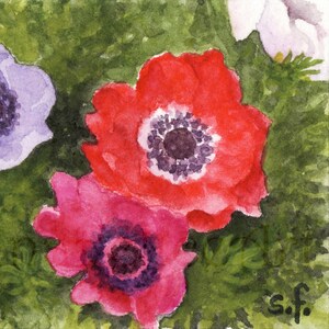 May include: A watercolour painting of three flowers. The flowers are red, pink, and purple. The flowers are surrounded by green leaves.