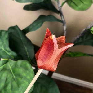 May include: A wooden tulip flower with a red stain finish. The flower is attached to a wooden stick.