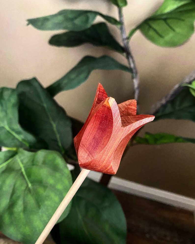 May include: A wooden tulip flower with a red stain finish. The flower is attached to a wooden stick.