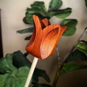BUNDLE DEALS-Hardwood Tulips *Aromatic Cedar*Padauk*Maple*Yellow Heart*Walnut* Wooden Flowers/Hardwood Flowers image 6