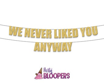 We NEVER LIKED YOU Anyway -  Fun/Rude Party Banner for Leaving, Goodbye, Retirement, New Job, Divorce Parties!