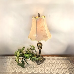May include: A vintage-style table lamp with a beige floral patterned lampshade and a decorative bronze base. The lamp is paired with a small green plant, creating a classic and elegant aesthetic. The lamp's height is approximately 18 inches.