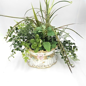 May include: A white ceramic planter with gold trim and floral designs, filled with a variety of green plants, including a succulent.