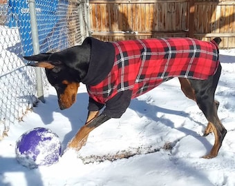 large dog coats and sweaters
