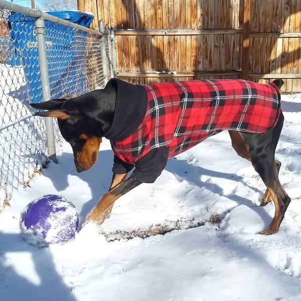 Red & Black Plaid Fleece Winter Dog Coat Snood Neck Sleeves Mock Turtleneck Covered Belly Chest Doberman Pet Clothes Sweater Buffalo Plaid