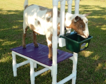 Goat Milking Stand Nigerian Dwarf Pygmy Sheep Milk Table Heavy Duty PVC Stanchion Grooming Hoof Trim Shearing
