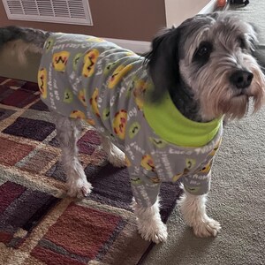 Op de afbeelding: Een hond draagt een grijze pyjama met een tacopatroon en de tekst "Taco 'bout fun". De pyjama heeft een limoengroene kraag. De hond staat op een patroonkleed.