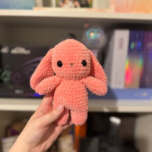Crocheted Amigurumi Bunny Plushie
