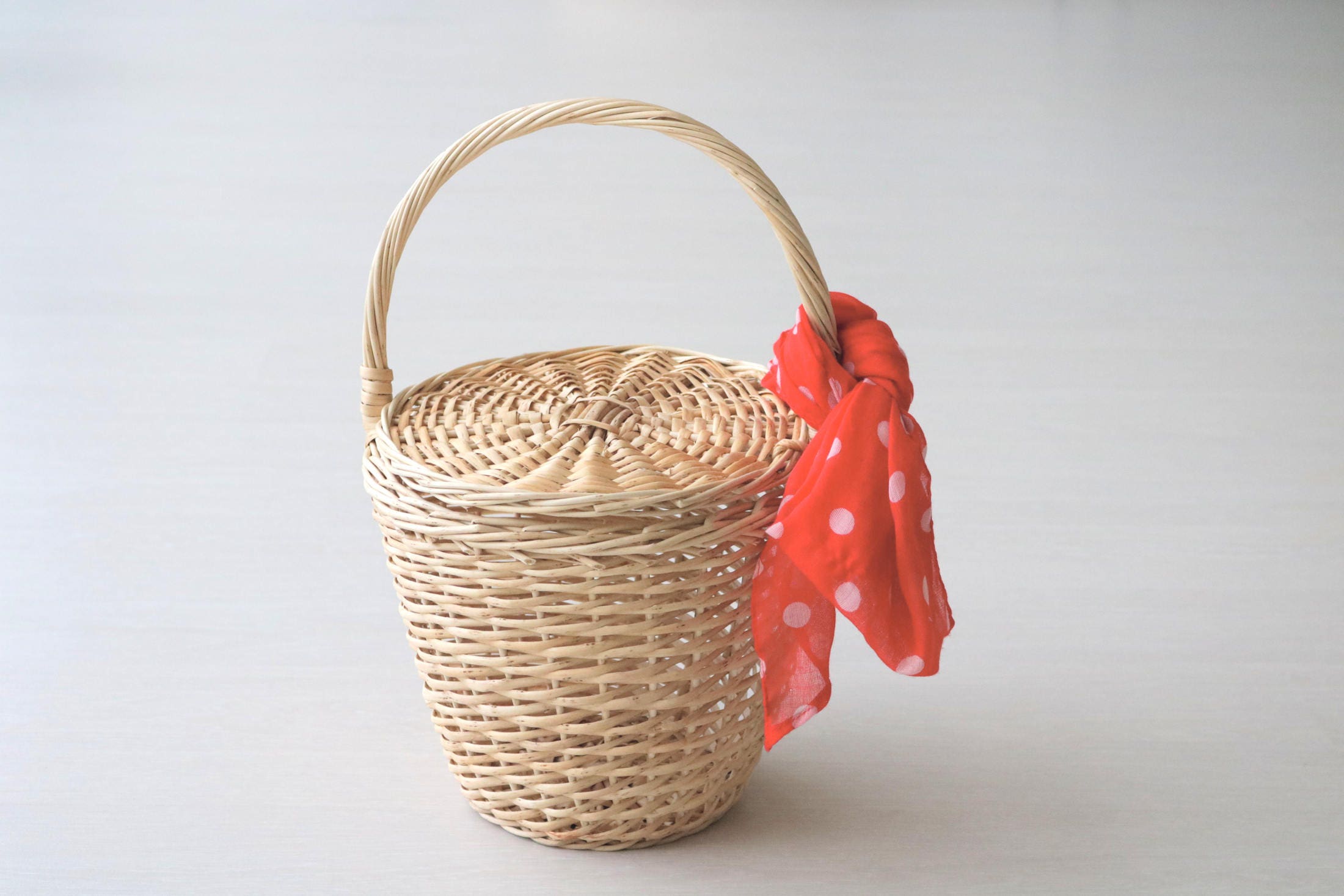 Buy Jane Birkin Basket-medium and Small Basket With a Lid Jane
