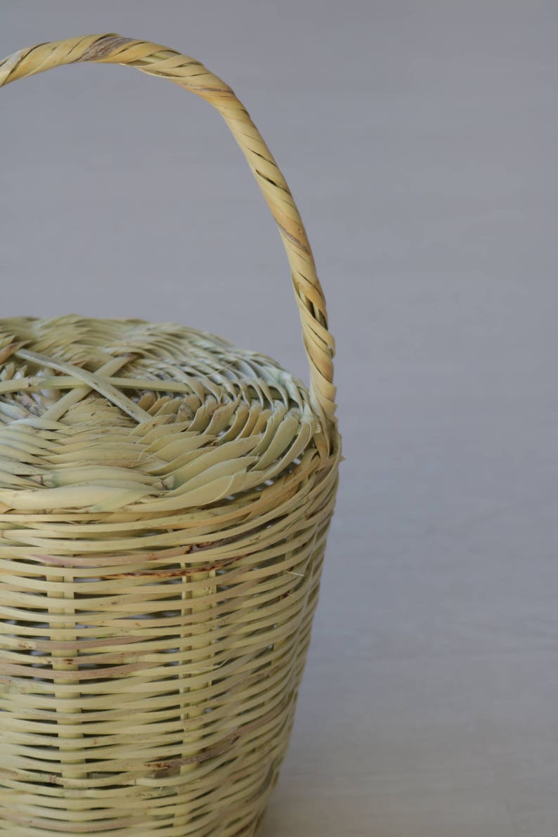 Jane Birkin Basket small, Handmade in Portugal, basket with lid, Handwoven Birkin Basket, cane basket, round basket bag, vegan bag 画像 7