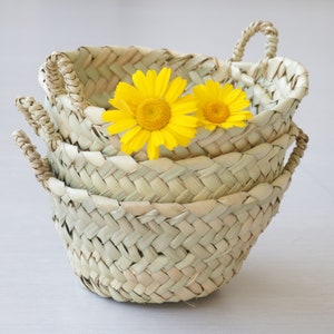 Mini mand van riet, opbergmand, bloemenmand, natuurlijke mand, palmenmand, winkeldecoratie, mini mand, Minikorb, huisdecoratie.