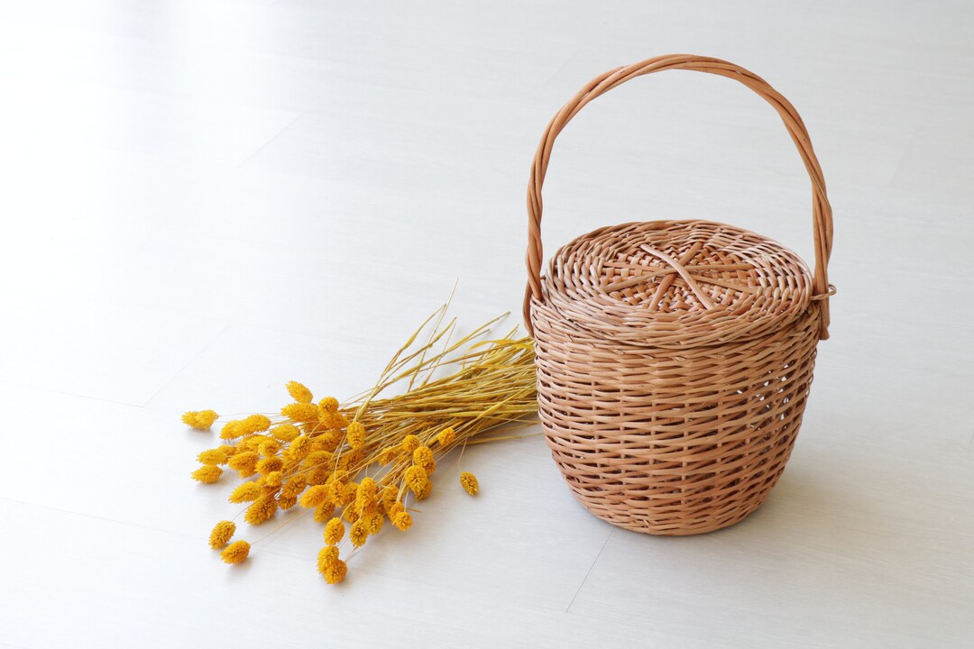 Jane Birkin Basket, Jane Birkin Bag, Market Bag, Round Wicker Basket ...
