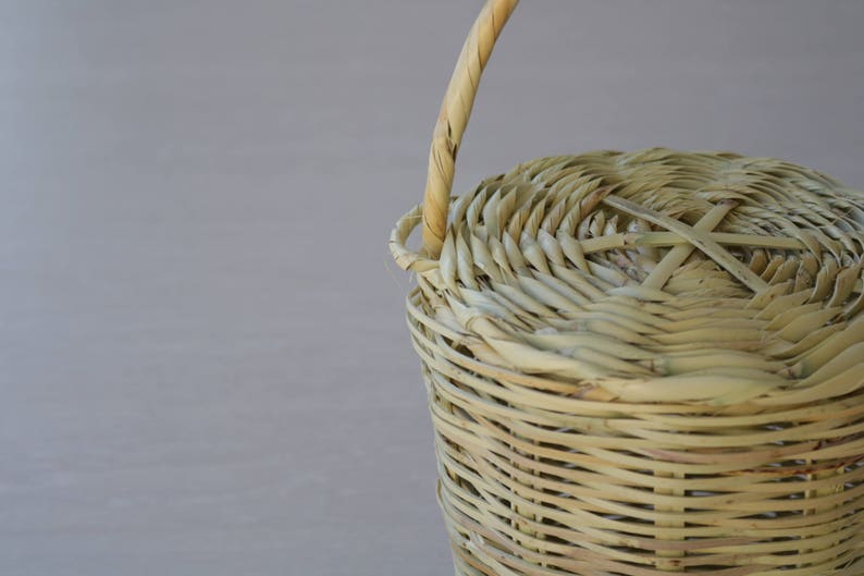 Jane Birkin Basket small, Handmade in Portugal, basket with lid, Handwoven Birkin Basket, cane basket, round basket bag, vegan bag image 8