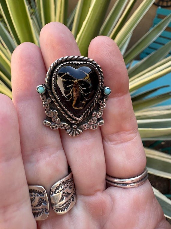 Sterling Silver Scorpion Ring with Turquoise and real Scorpion