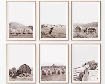 Conjunto de 6 impresiones de granjas en neutros. Conjunto de estampado de granja con oveja, vaca de las tierras altas, granero antiguo, lama, caballo y trigo. Conjunto de arte de pared moderno