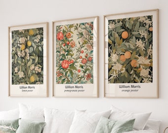 Impresiones estilo William Morris con acento mediterráneo de verano, estilo vintage de William Morris enmarcado arte de pared botánica, Galería Art Nouveau