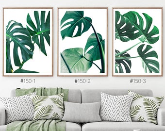 Conjunto de impresión de hojas de Monstera, arte de pared de hoja de palma tropical de 3 piezas, Monstera Deliciosa, planta tropical, arte botánico, hoja verde