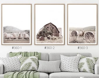 Conjunto rústico de 3 grabados con ovejas, granero antiguo y vaca de las tierras altas, conjunto imprimible grande de granja en color neutro, conjunto de impresión de escenas de granja