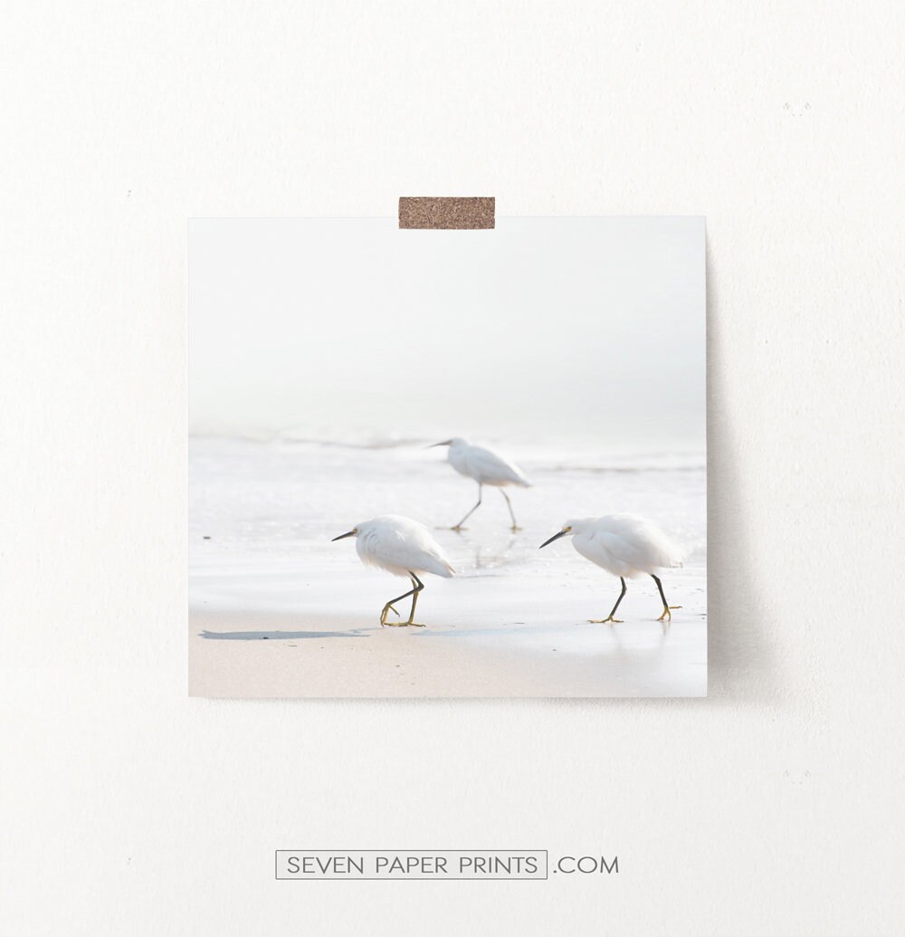 Seagull Wall Art Coastal Print Pastel Ocean Beach Shipped Etsy