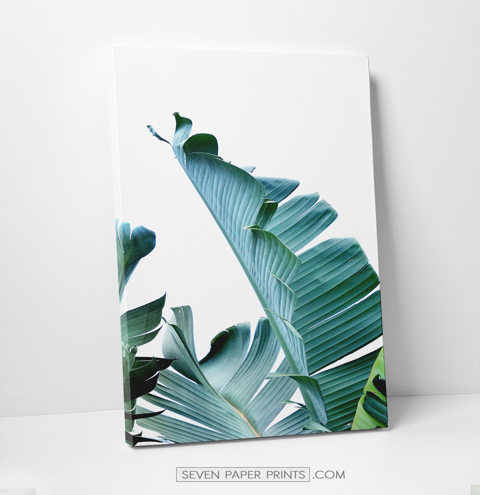 Botanical Tropical Leaves Canvas Print Set