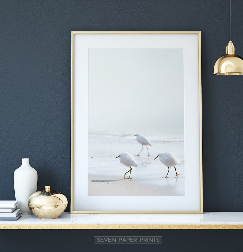 Birds Wall Art Seagulls on the Beach Print California Etsy