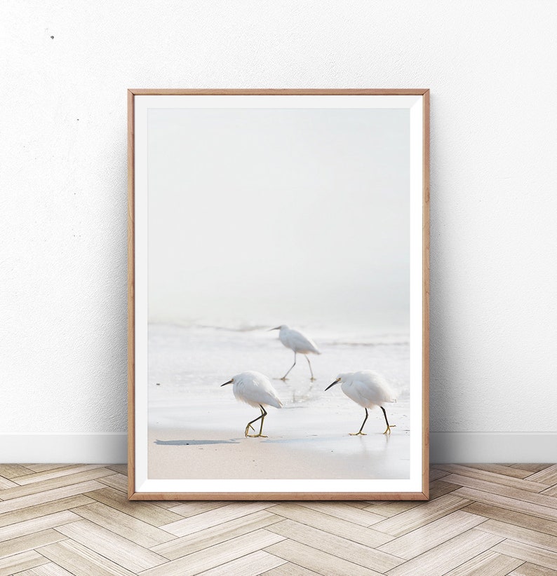 Birds Wall Art Seagulls on the Beach Print California Etsy
