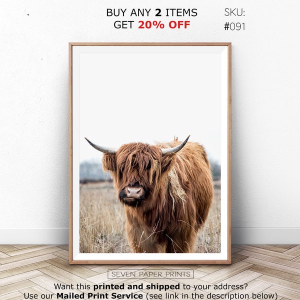 Highland Cow Photography, Bull Print, Autumn Landscape Wall Art, Modern Farmhouse Decor, Rustic Home Decor, Animal Poster, Farm Art