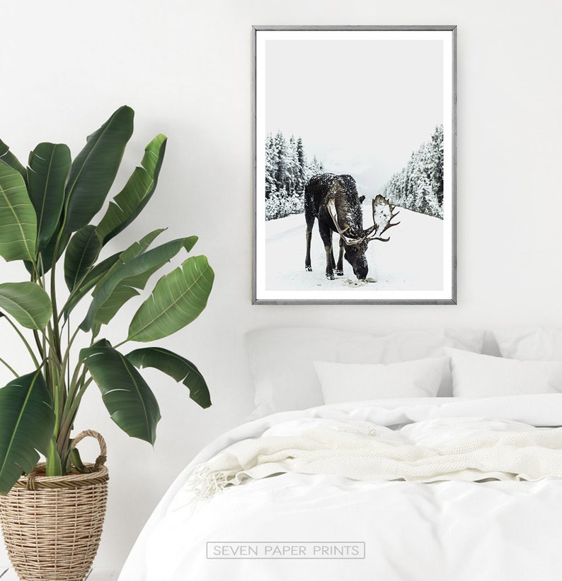 Moose Print, Winter Decor, Winter Forest Print, Winter Photography, Christmas Print, Christmas Wall Art, Christmas Mood, Snow Trees Forest image 6