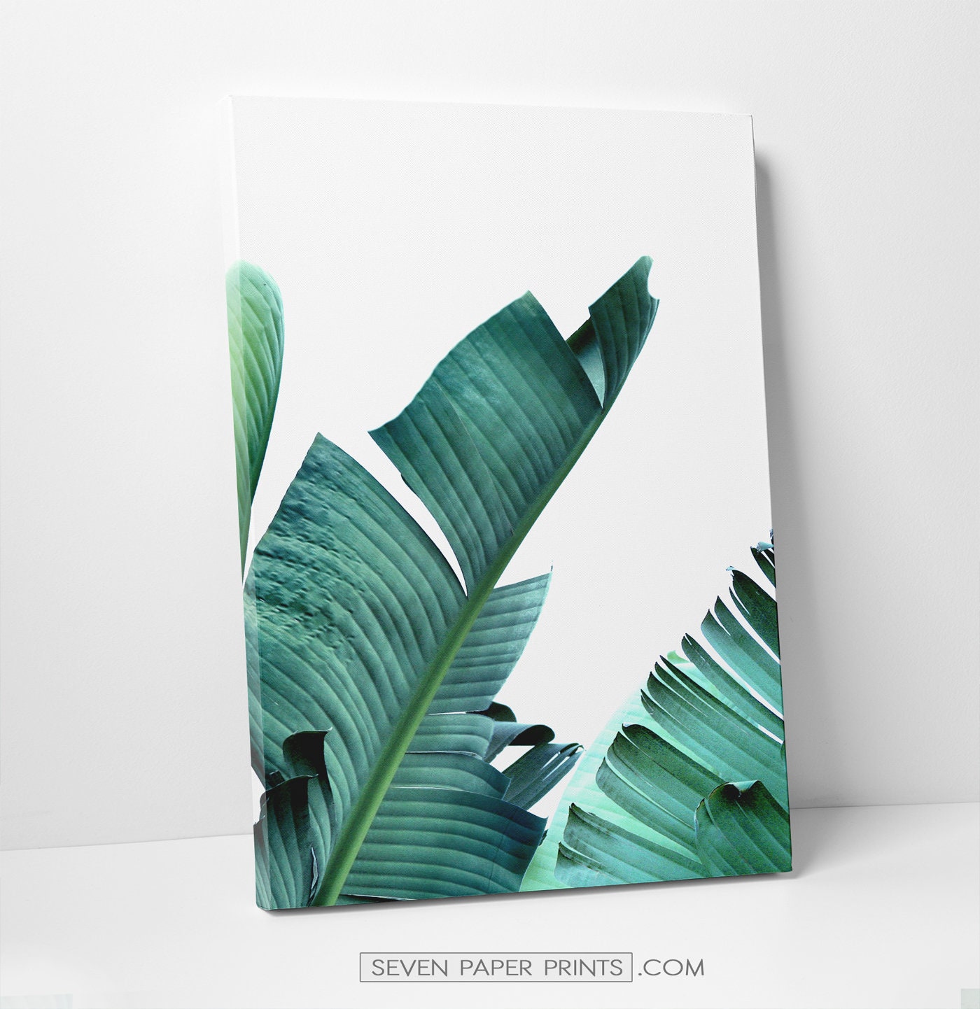 Canvas Tropical Leaves 3 Piece Wall Art Extra Large Botanical Etsy