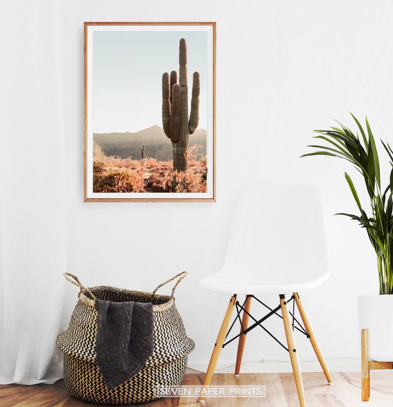 Desert Cactus Giclee Photo Boho Art Printed South Western - Etsy
