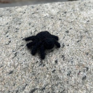 Needle Felted Black Spider