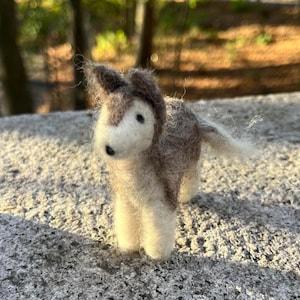 May include: A small, hand-felted gray and white dog figurine. The dog has a fluffy tail and is standing on a gray, textured surface.